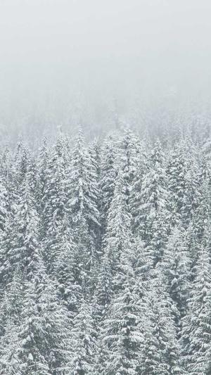 传奇大掌柜 电视剧截图4