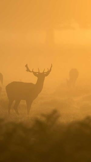 新开电信传奇网站截图3