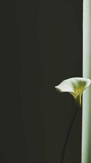 传奇登陆器截图3