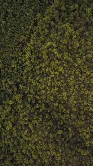 热血传奇手游截图2