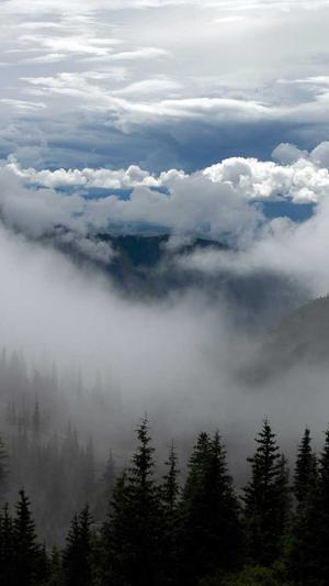 冒险岛客服截图2