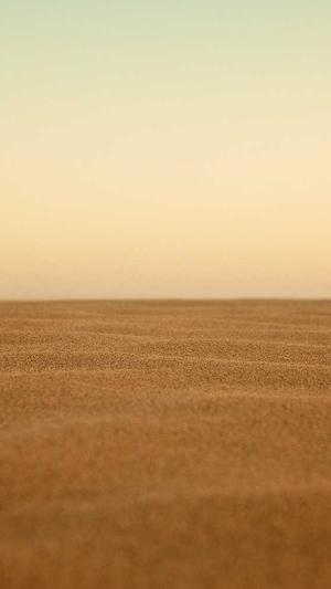 楚汉传奇电视剧截图1