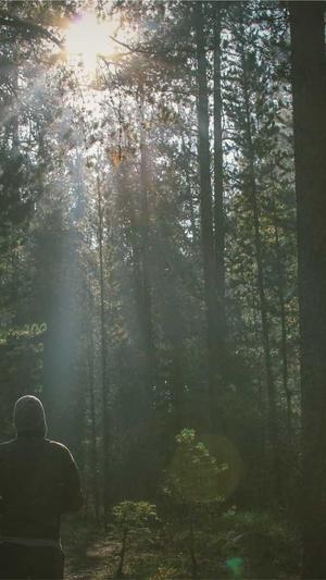 dnf伤害计算器截图1