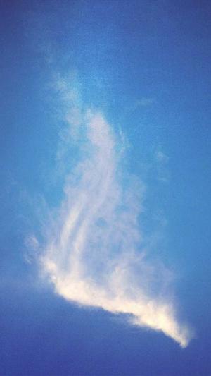 冒险岛2脚本截图5