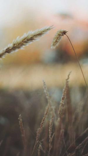 中变靓装传奇截图1