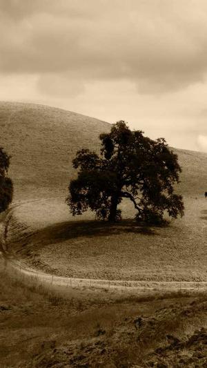 韩服dnf官网截图2